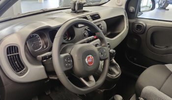 Fiat PANDA MY21-0.9 Twinair 70cv pieno