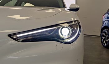 Stelvio MY21-2.2  160 CV Business pieno