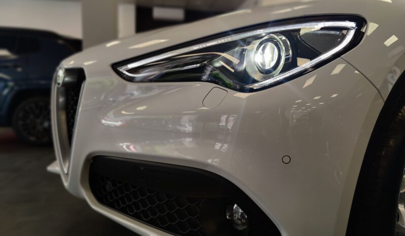 Stelvio MY21-2.2  160 CV Business pieno