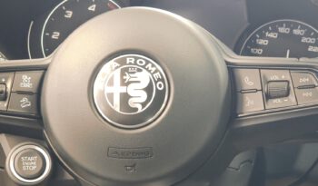 Stelvio MY21-2.2  160 CV Business pieno